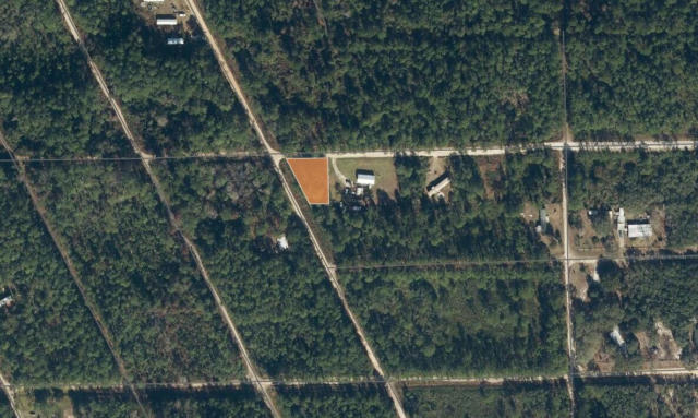 0 HICKORY NUT TRAIL, SATSUMA, FL 32189 - Image 1